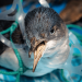 Beyond Recovery: Why Plastic Pollution Requires System-Wide Solutions